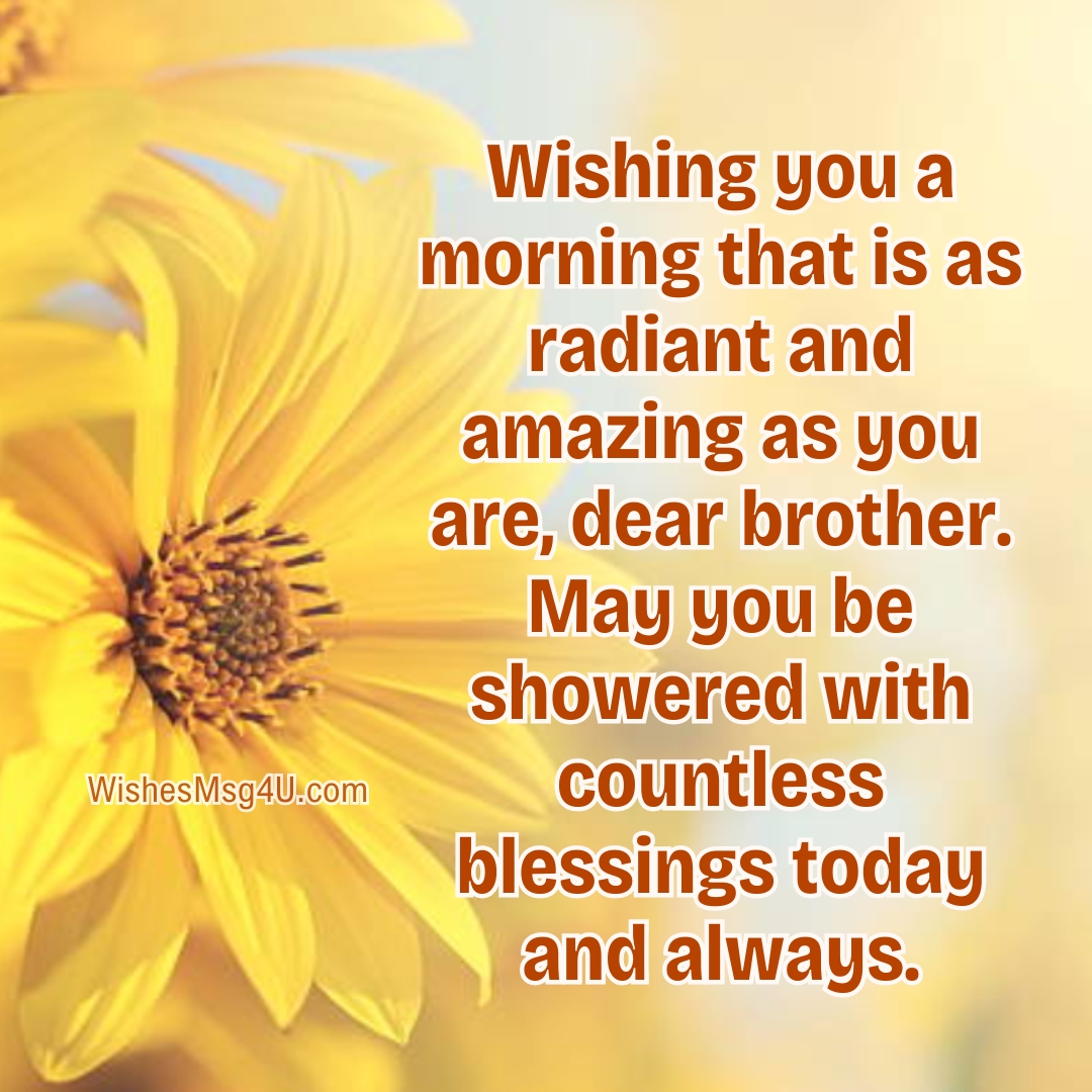 Wishing you a morning that is as radiant and amazing as you are, dear brother. Good Morning Brother.