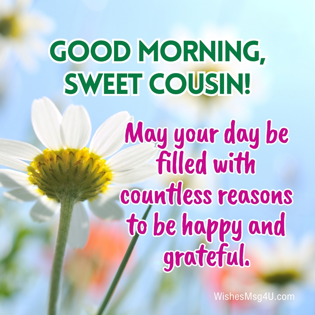 May your day be filled with countless reasons to be happy and grateful. Good Morning Cousin.