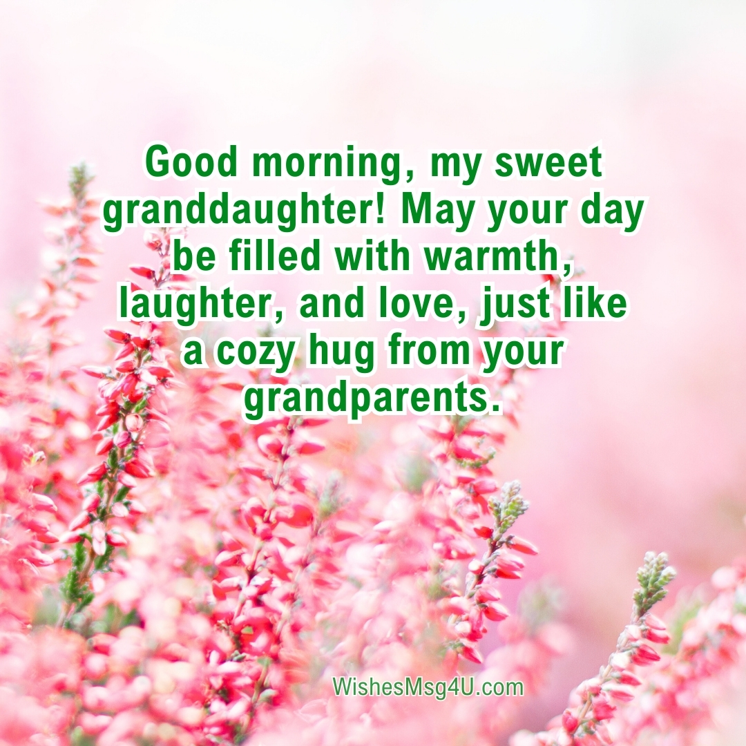 May your day be filled with warmth, laughter, and love, just like a cozy hug from your grandparents. Good Morning Granddaughter.