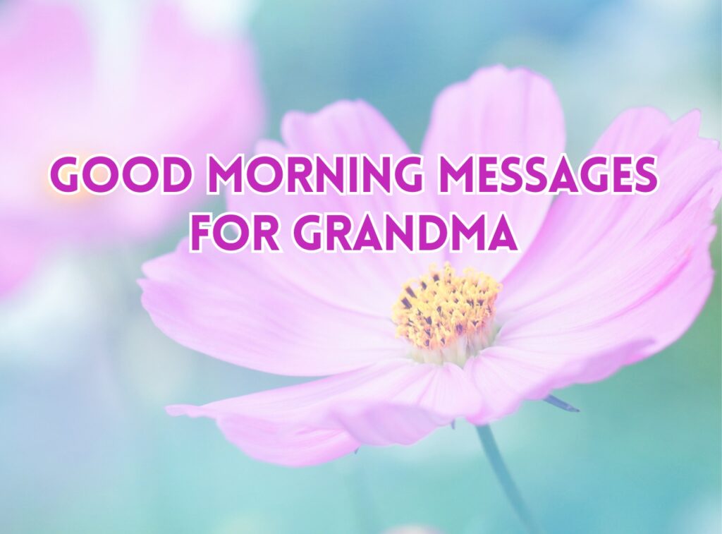 Good Morning Grandma