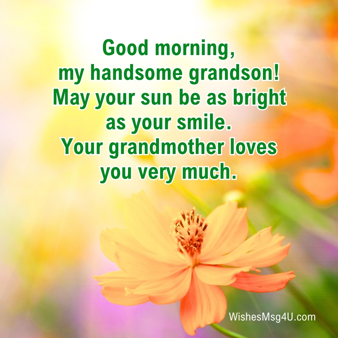 May your sun be as bright as your smile. Good Morning Grandson.