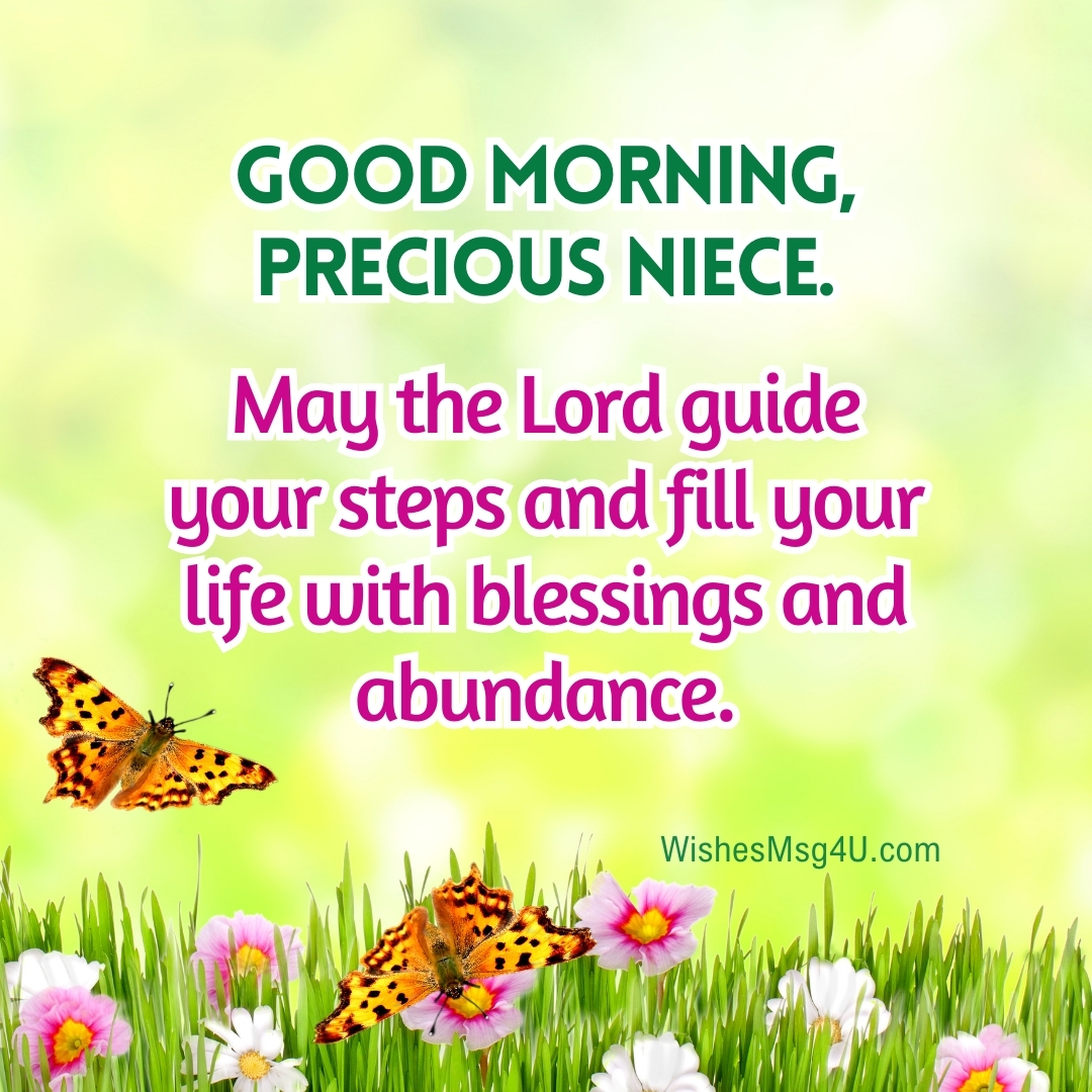 May the Lord guide your steps and fill your life with blessings and abundance. Good Morning Niece.