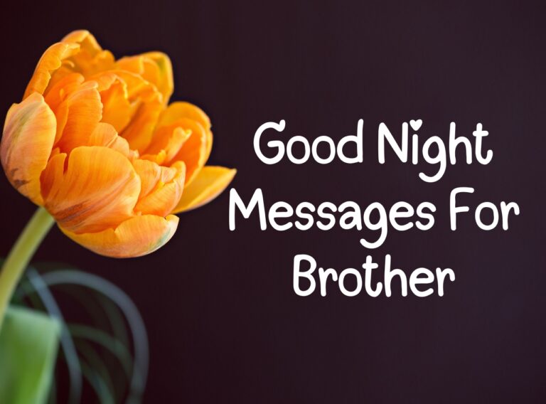 Good Night Messages For Brother