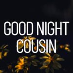 Good Night Cousin