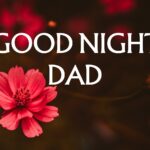 Good Night Dad