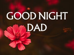 Good Night Dad