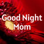 Good Night Mom