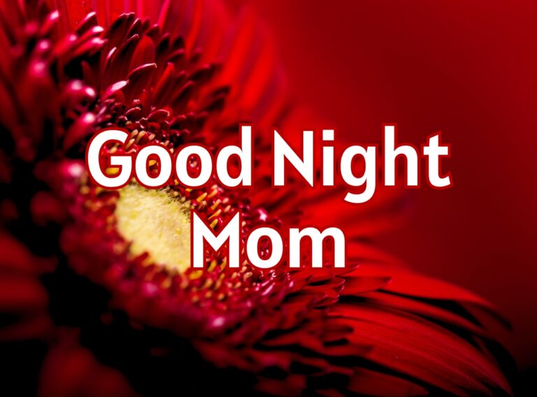 Good Night Mom