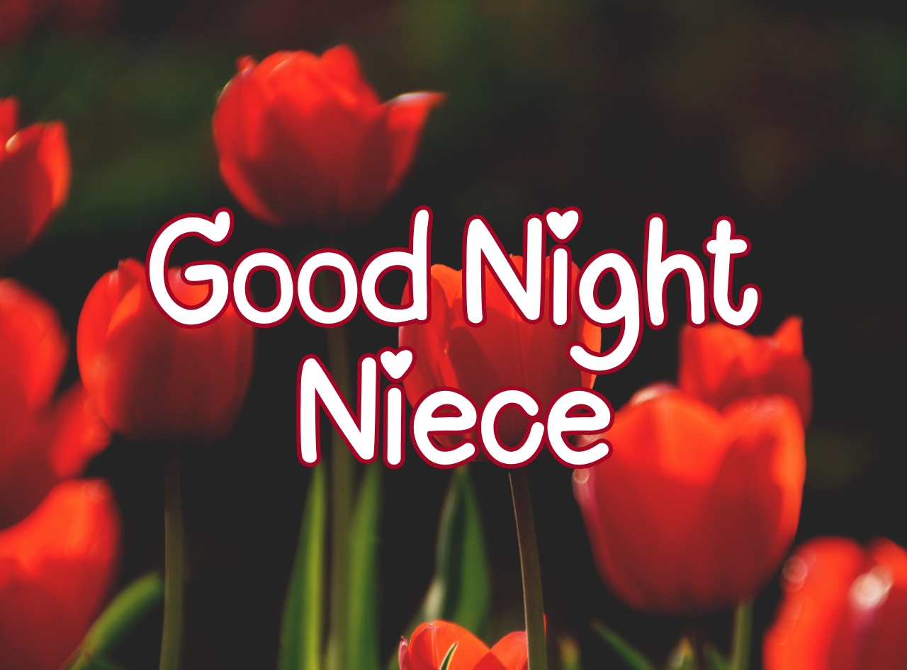 220+ Best Good Night Niece Wishes And Messages