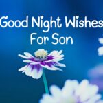 Good Night Wishes For Son