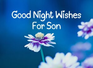 Good Night Wishes For Son