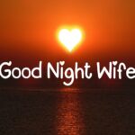 Good Night Wife