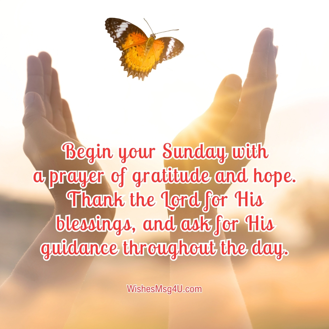 Begin your Sunday with a prayer of gratitude and hope. Thank the Lord for His blessings, and ask for His guidance throughout the day. Good Morning Happy Sunday.