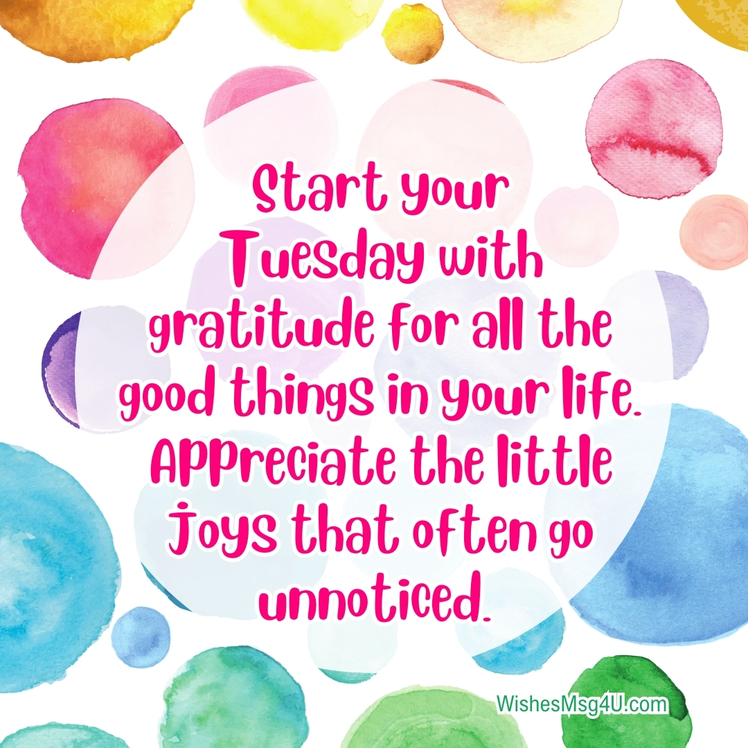 Start your Tuesday with gratitude for all the good things in your life. Good Morning Happy Tuesday.