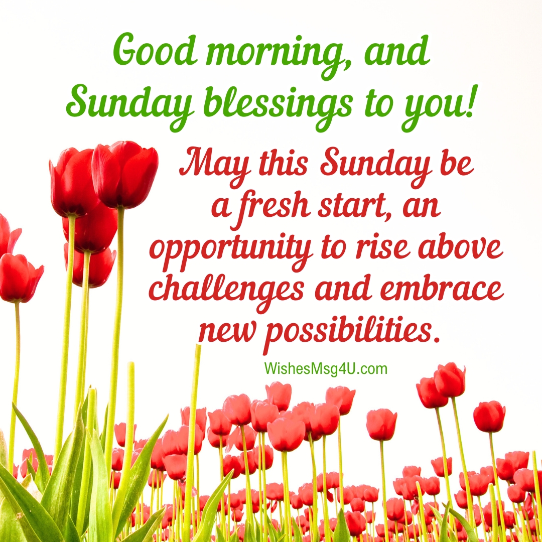 May this Sunday be a fresh start, an opportunity to rise above challenges and embrace new possibilities. Good Morning Sunday Blessings.