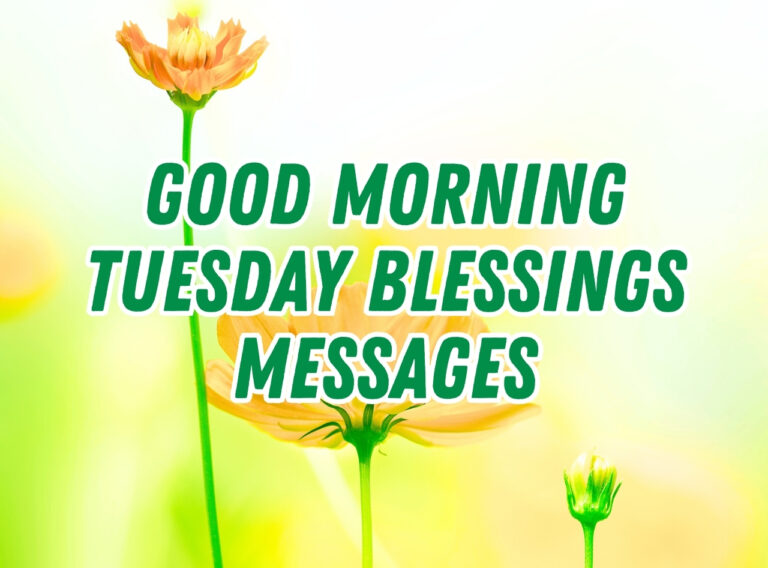 Good Morning Tuesday Blessings