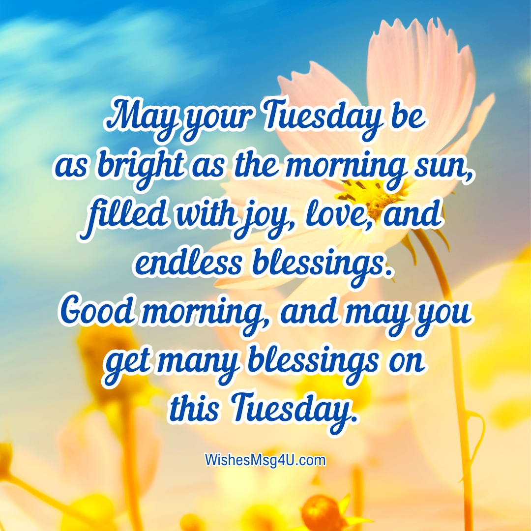 May your Tuesday be as bright as the morning sun, filled with joy, love, and endless blessings. Good Morning Tuesday Blessings.