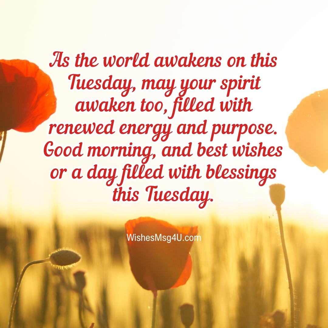 As the world awakens on this Tuesday, may your spirit awaken too, filled with renewed energy and purpose. Good Morning Tuesday Blessings.