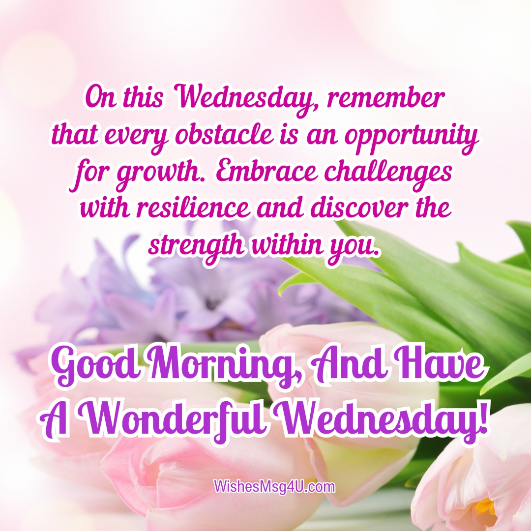 On this Wednesday, remember that every obstacle is an opportunity for growth. Embrace challenges with resilience and discover the strength within you. Good Morning Wednesday Blessings.