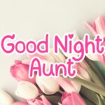 Good Night Aunt