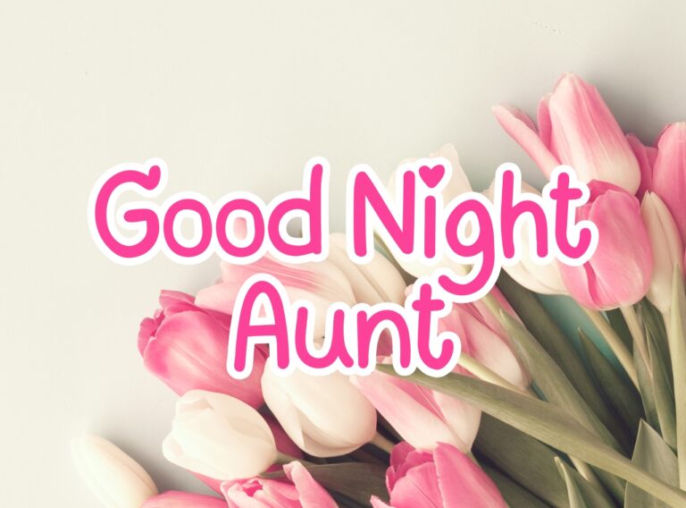 Good Night Aunt