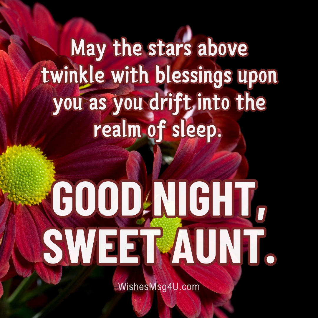 May the stars above twinkle with blessings upon you as you drift into the realm of sleep. Good Night Aunt.