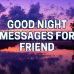 Good Night Friend