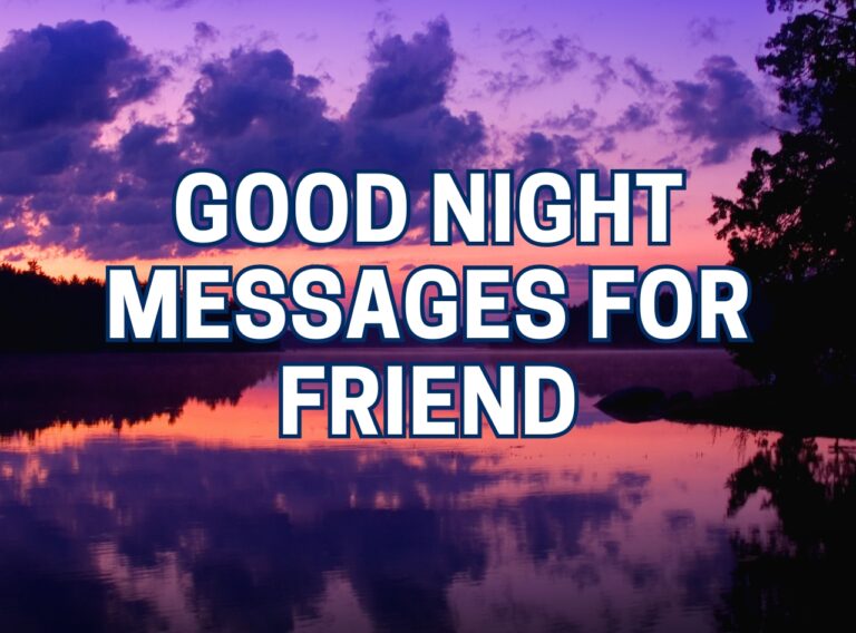 Good Night Friend