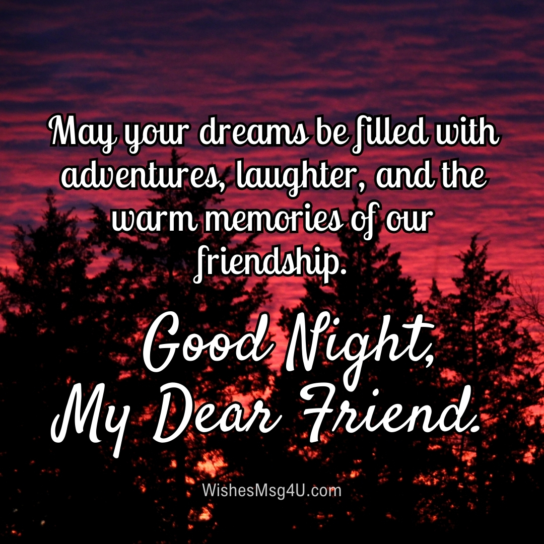 May your dreams be filled with adventures, laughter, and the warm memories of our friendship. Good Night Friend.