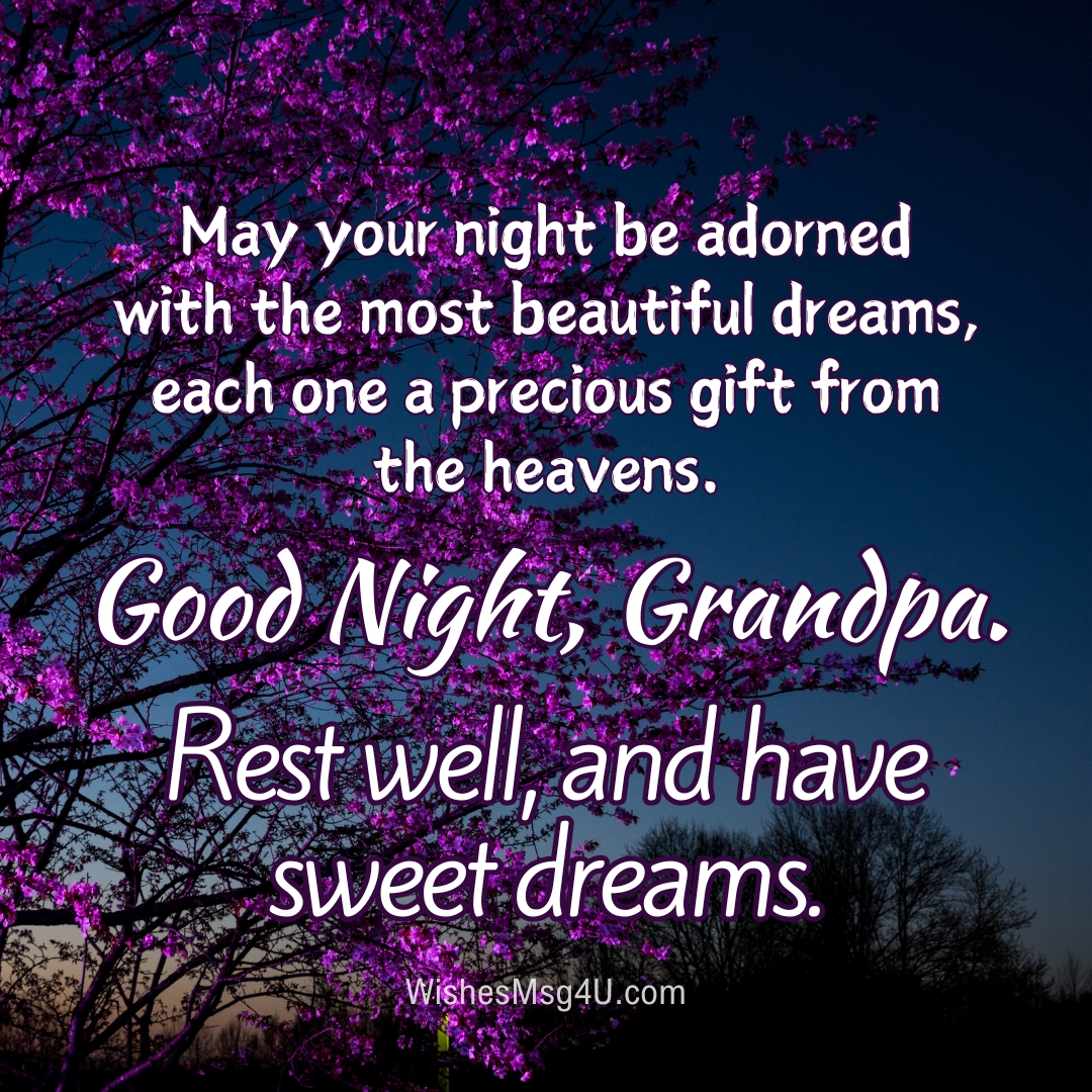 May your night be adorned with the most beautiful dreams, each one a precious gift from the heavens. Good Night Grandpa.