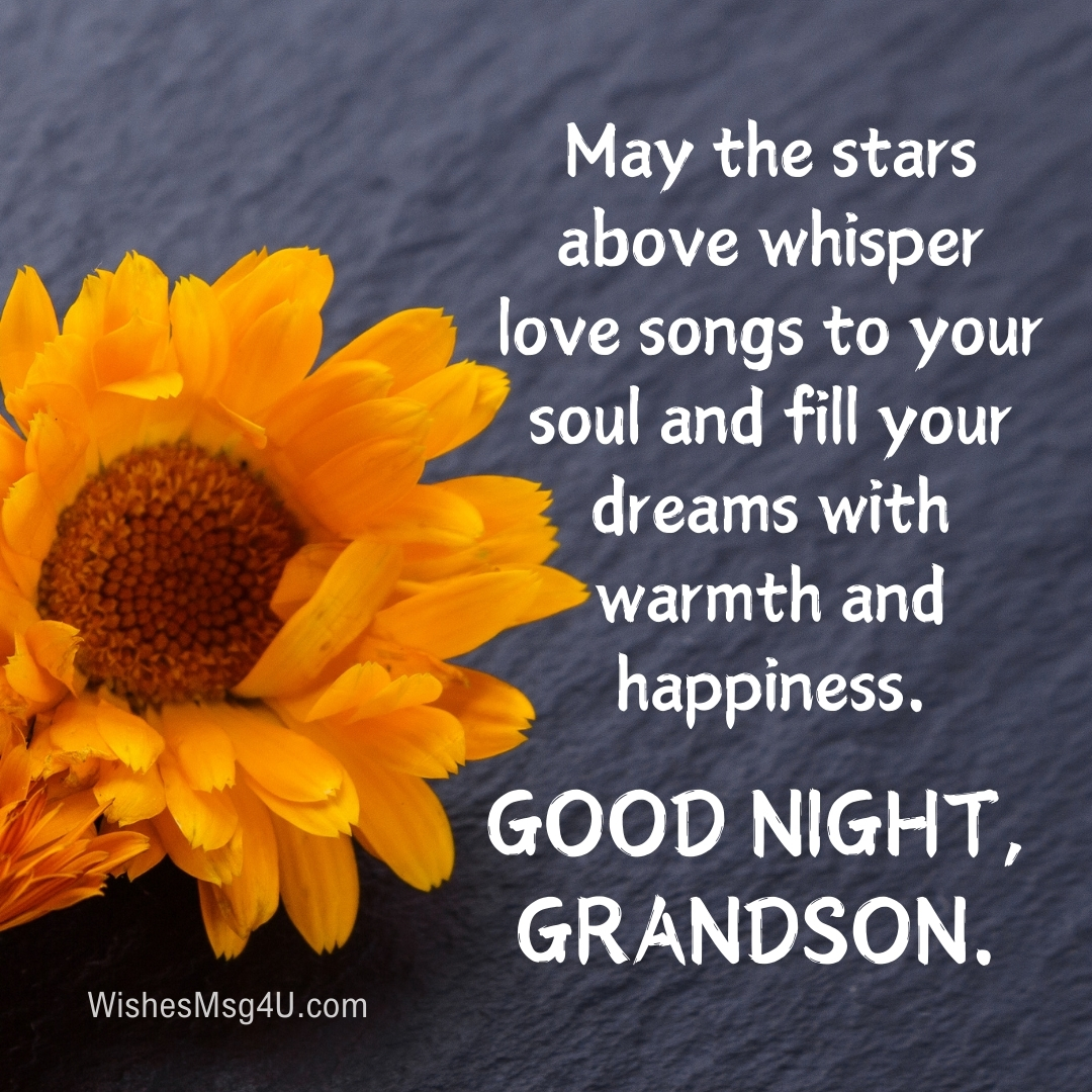 May the stars above whisper love songs to your soul and fill your dreams with warmth and happiness. Good Night Grandson.