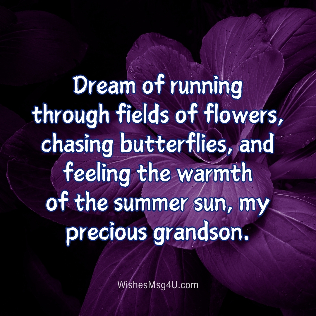 Dream of running through fields of flowers, chasing butterflies, and feeling the warmth of the summer sun, my precious grandson. Good Night Grandson.