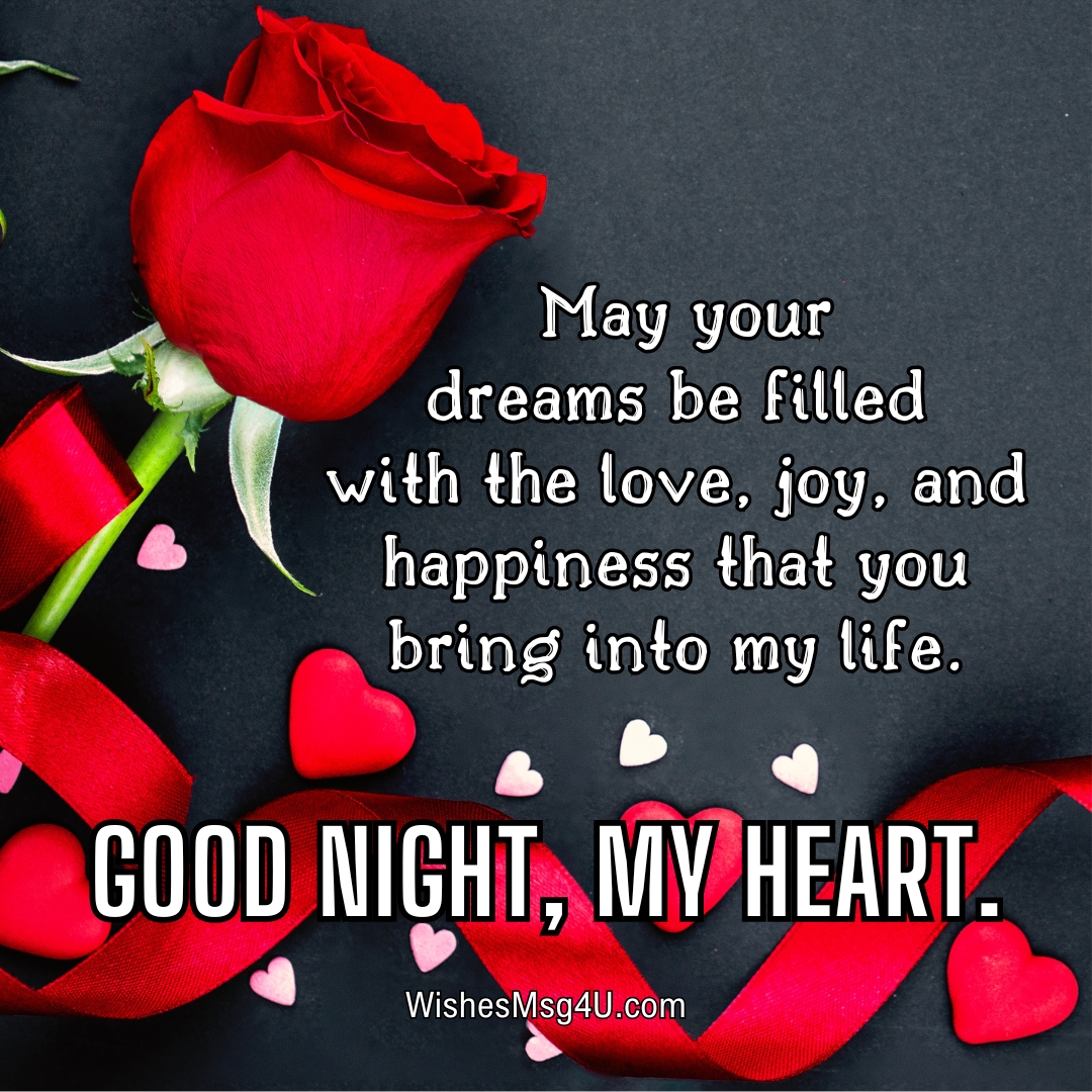 May your dreams be filled with the love, joy, and happiness that you bring into my life. Good Night, my love.