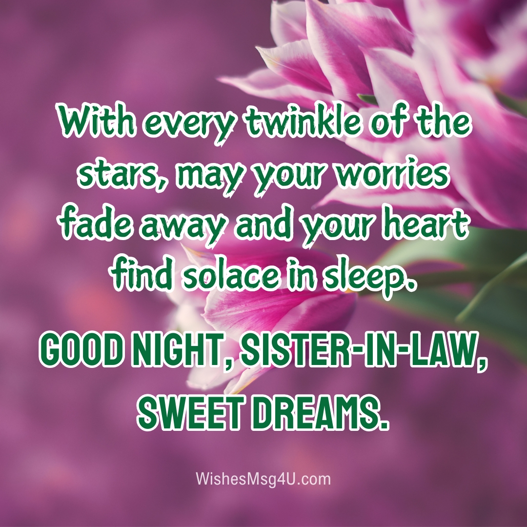 With every twinkle of the stars, may your worries fade away and your heart find solace in sleep. Good Night Sister-in-Law.