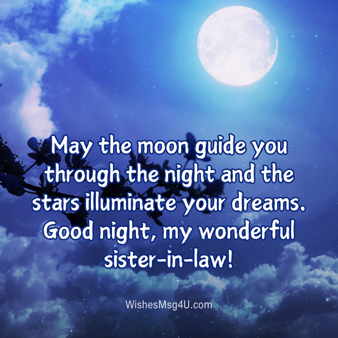 May the moon guide you through the night and the stars illuminate your dreams. Good Night Sister-in-Law.