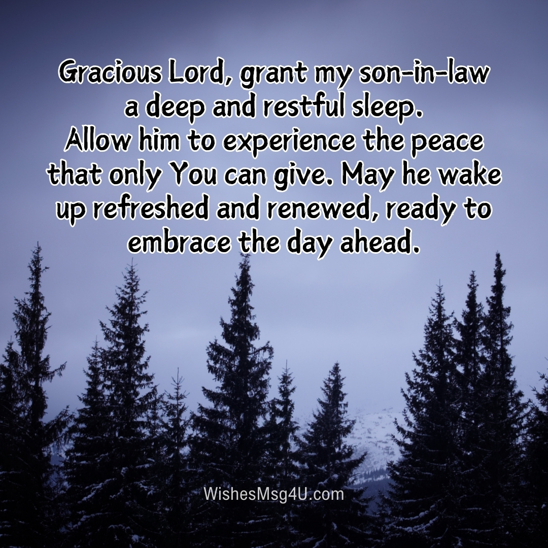 Gracious Lord, grant my son-in-law a deep and restful sleep. Good Night Son-in-Law.