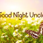 Good Night Uncle