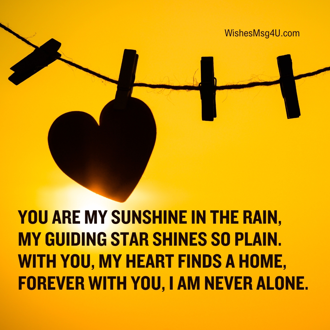 You are my sunshine in the rain, My guiding star shines so plain. Love Poems For Him.