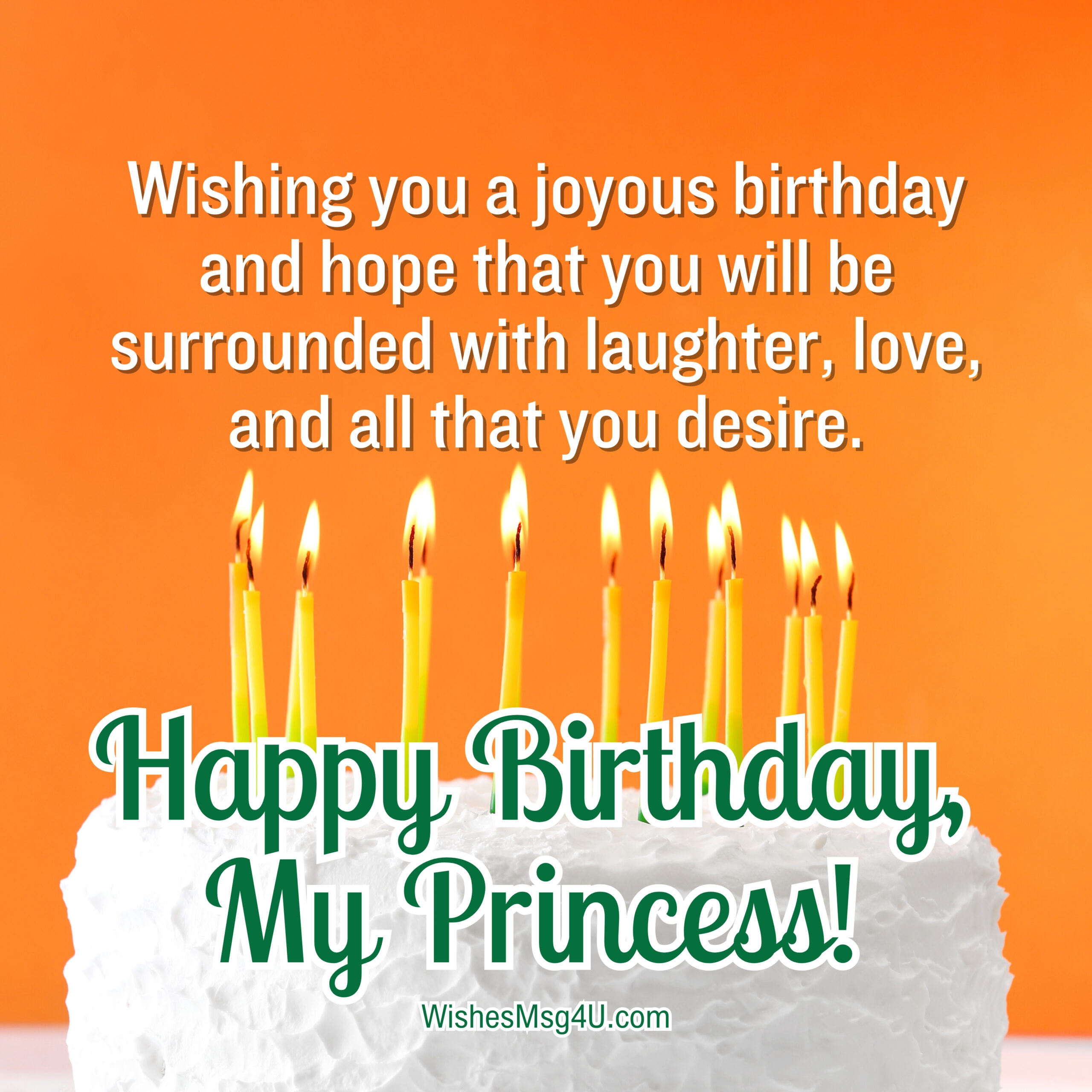 Wishing you a joyous birthday and hope that you will be surrounded with laughter, love, and all that you desire. Happy Birthday Baby Girl.