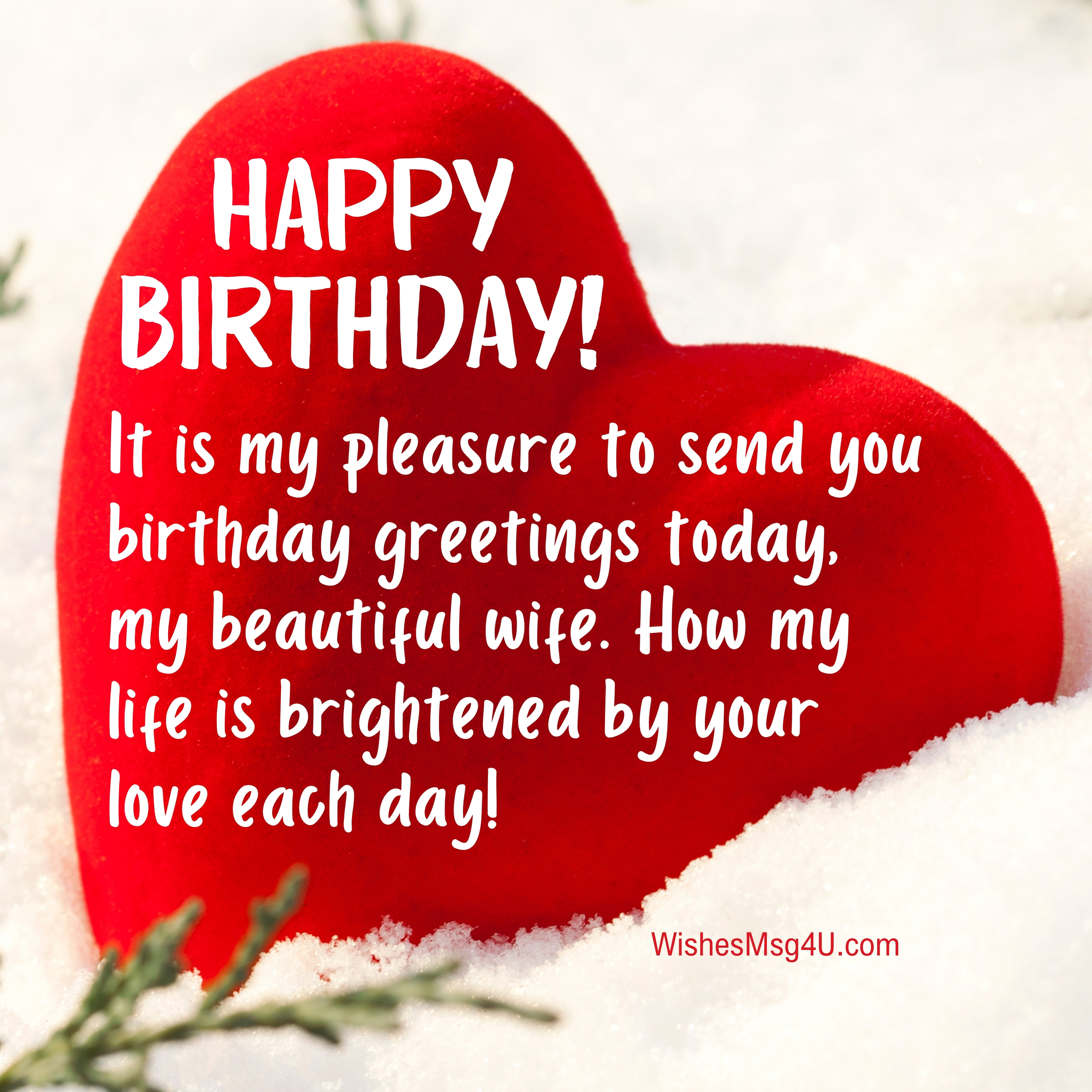 It is my pleasure to send you birthday greetings today, my beautiful wife. Happy Birthday Wife.